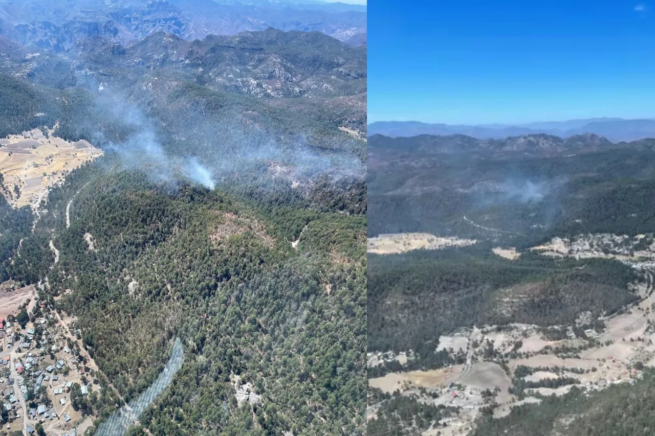 Se registran dos incendios en Ocampo; brigadistas atienden el siniestro