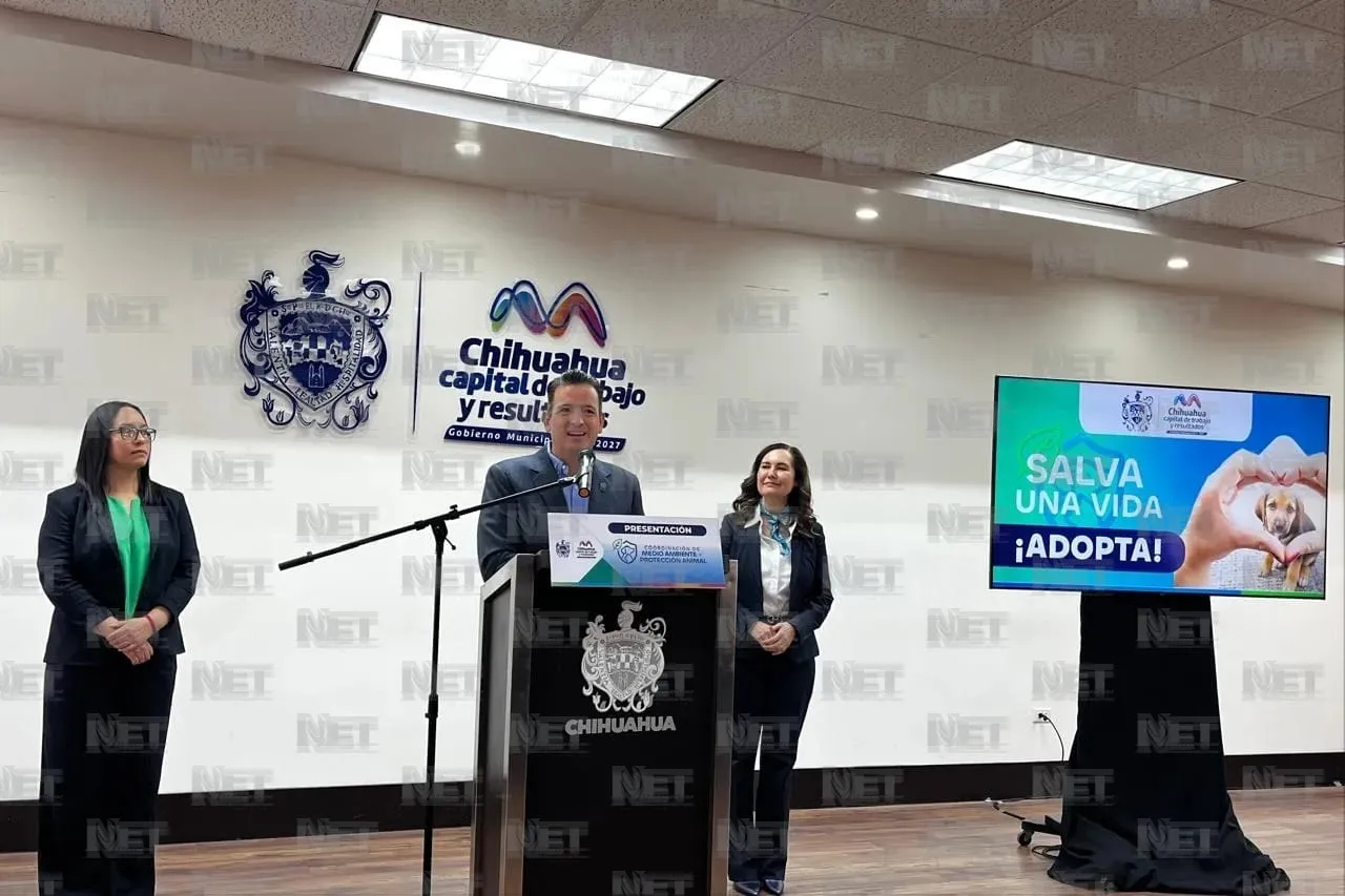 Chihuahua: Operará la Coordinación de Bienestar Animal en 6 semanas