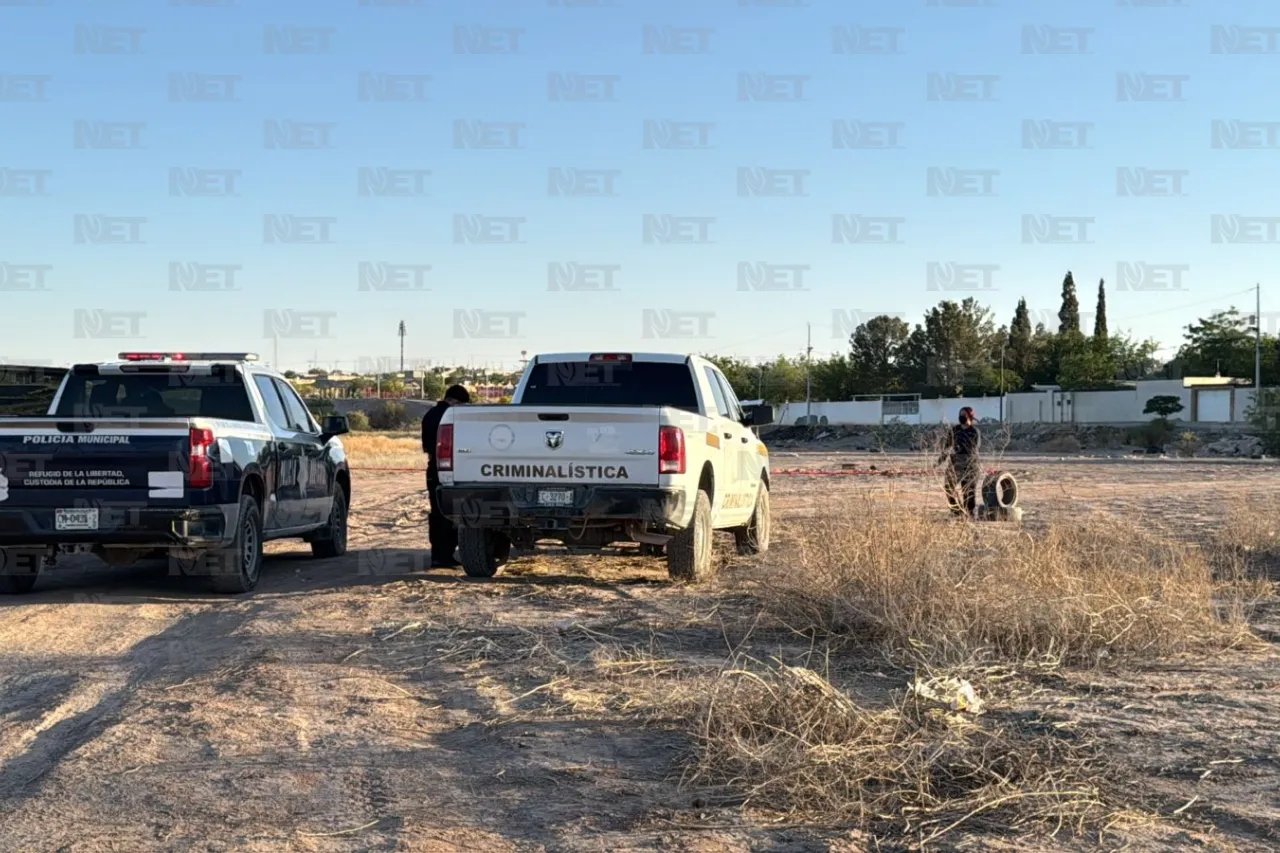 Hallan cabeza humana en El Sauzal; perro la llevaba en el hocico