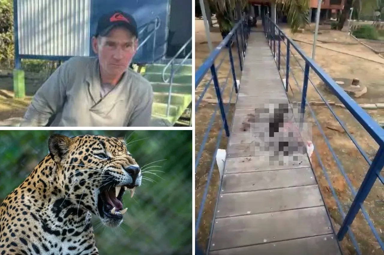 Muere trabajador de una hacienda devorado por un enorme jaguar