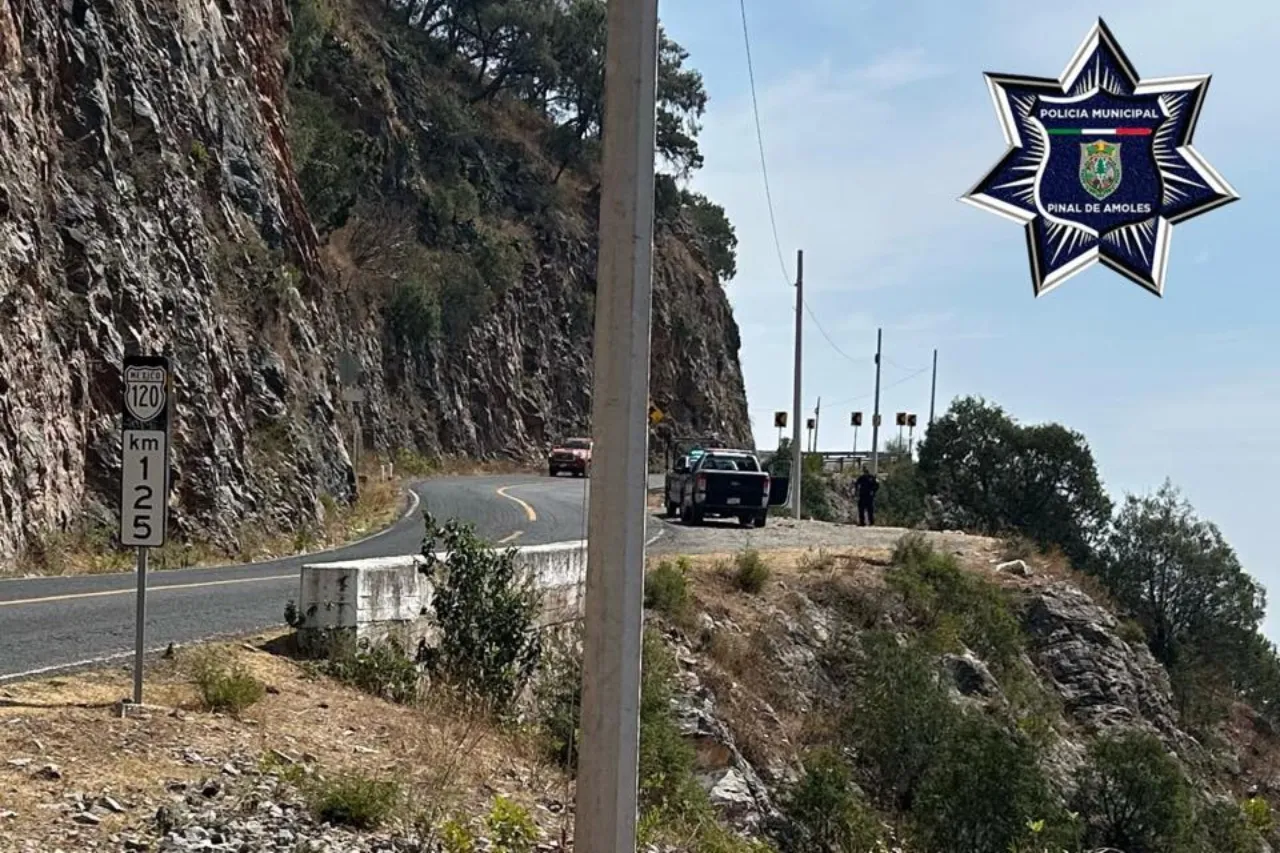 Familia baja a tomarse foto y su vehículo cae a barranco