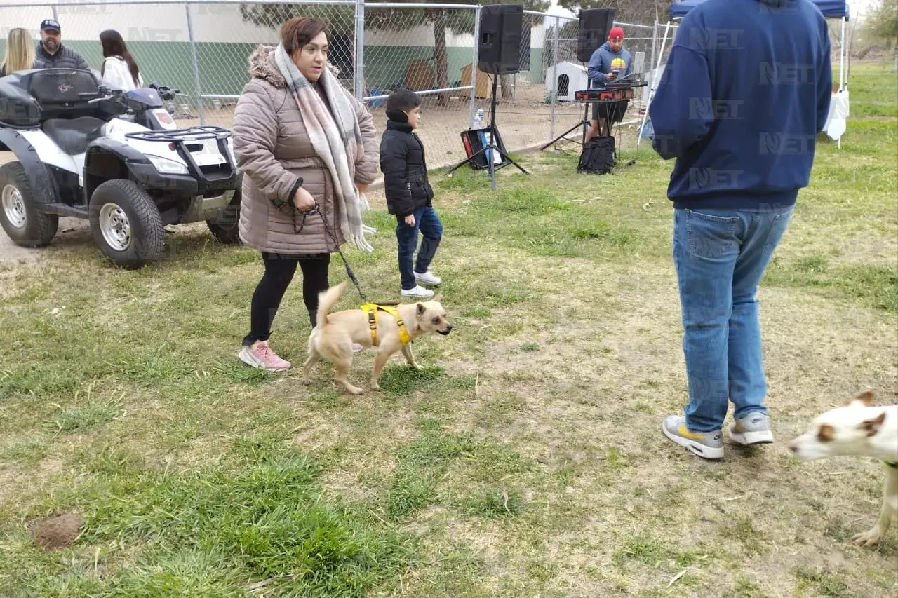 Entrena a tu mascota de forma gratuita en el Picnic con Peek