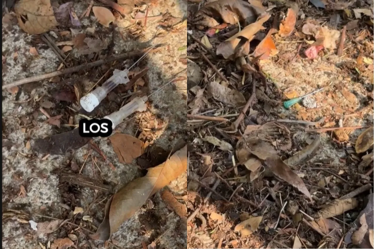 Madre denuncia decenas de agujas dejadas entre las hojas en un parque