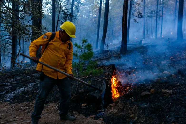 Advierten autoridades temporada crítica de incendios en Chihuahua