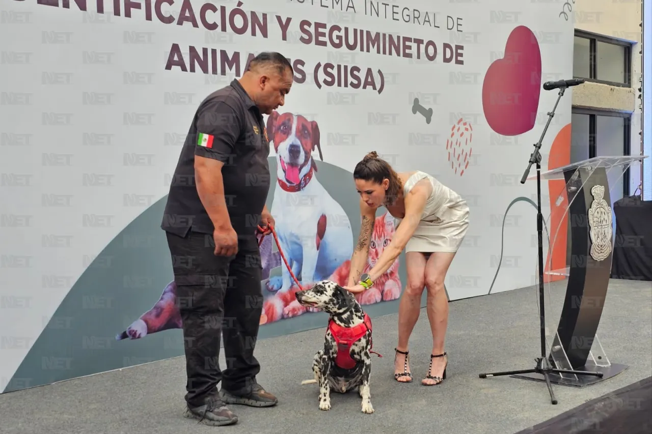 Presentan proyecto para identificar y seguir a animales de la calle