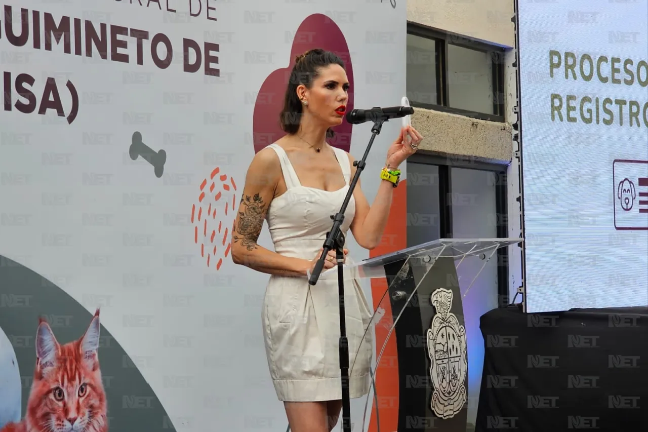 Presentan proyecto para identificar y seguir a animales de la calle
