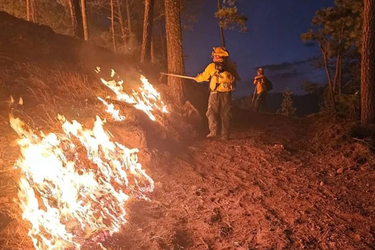 Atienden incendios forestales en Chihuahua