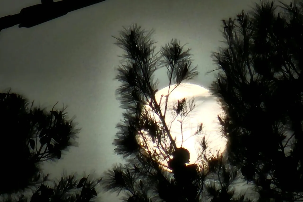 Palideció el Sol con cortina de polvo
