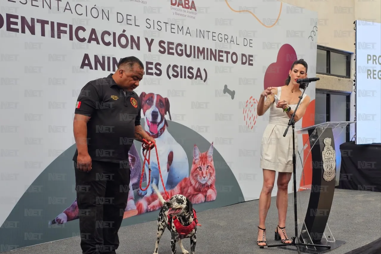 Presentan proyecto para identificar y seguir a animales de la calle