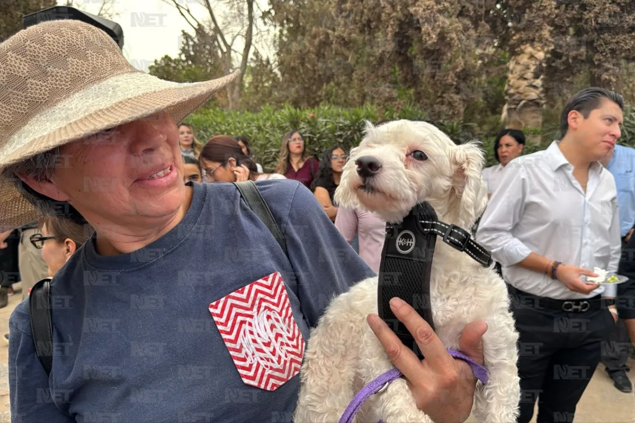 Presentan proyecto para identificar y seguir a animales de la calle
