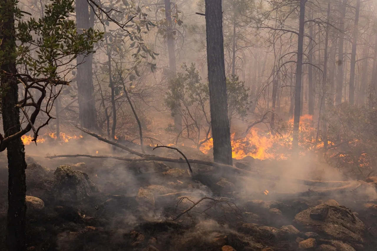 Aumentan 52 % los incendios forestales en Chihuahua