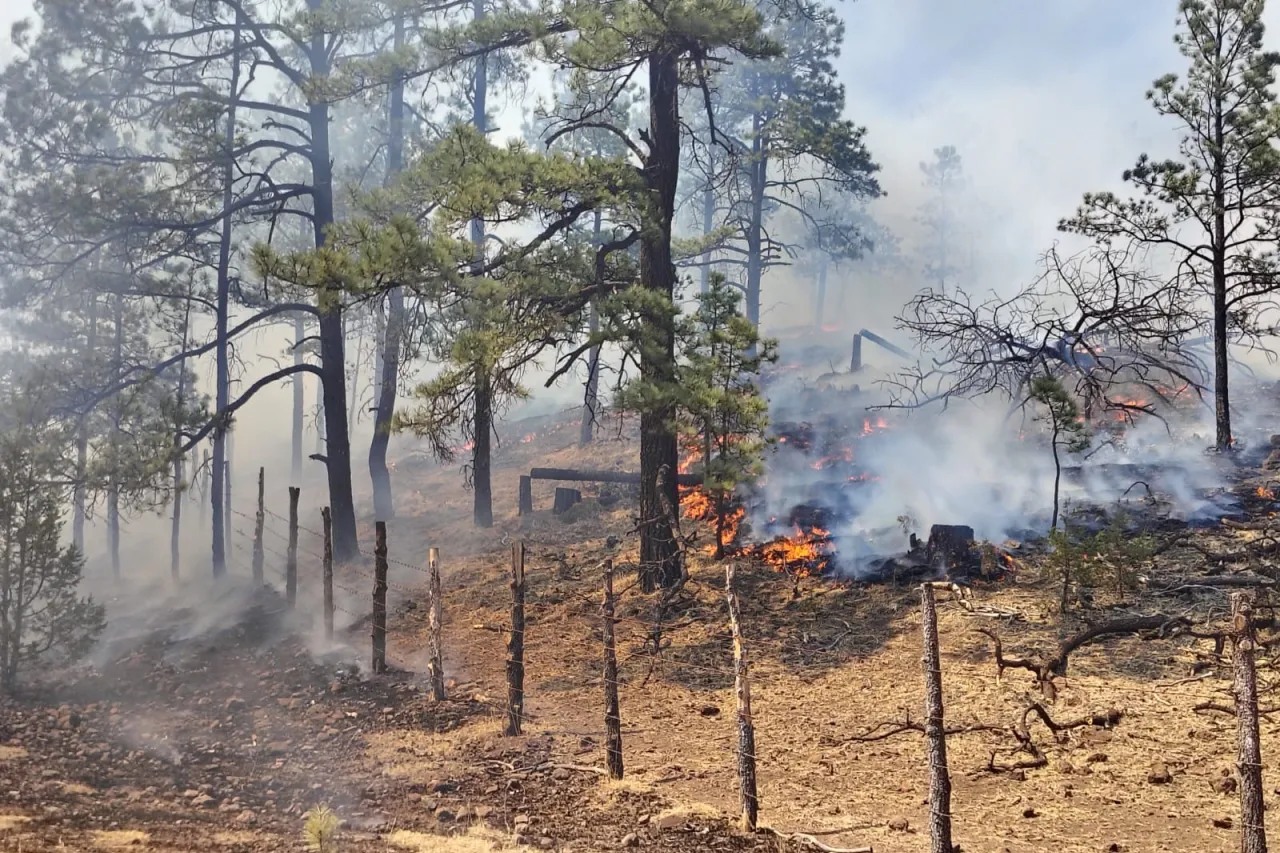 Activos 17 incendios forestales en el estado