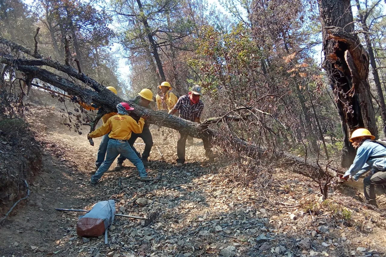 Hay 18 incendios activos en Chihuahua