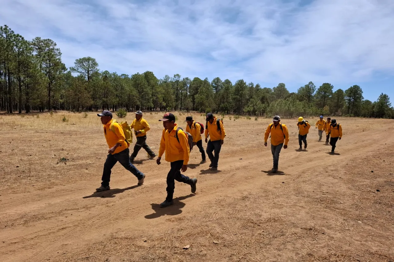 Hay 18 incendios activos en Chihuahua