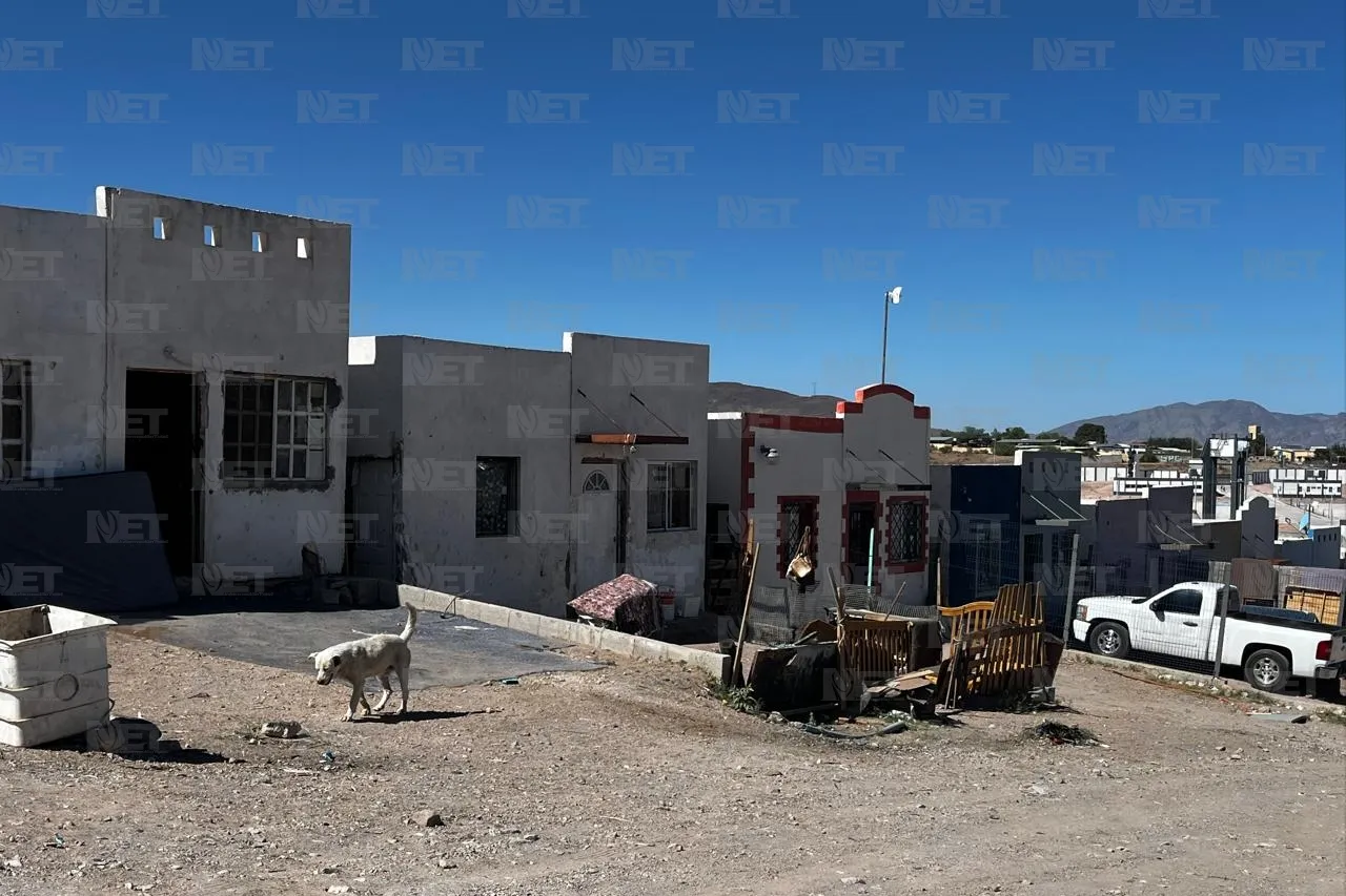 Denuncian irresponsabilidad por proliferación de perros y garrapatas