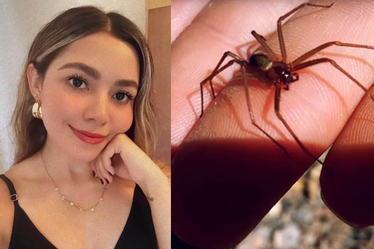 Fallece joven de 31 años por picadura de araña violinista en Sonora