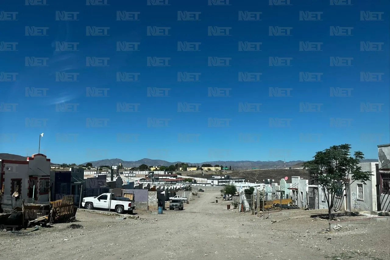 Denuncian irresponsabilidad por proliferación de perros y garrapatas