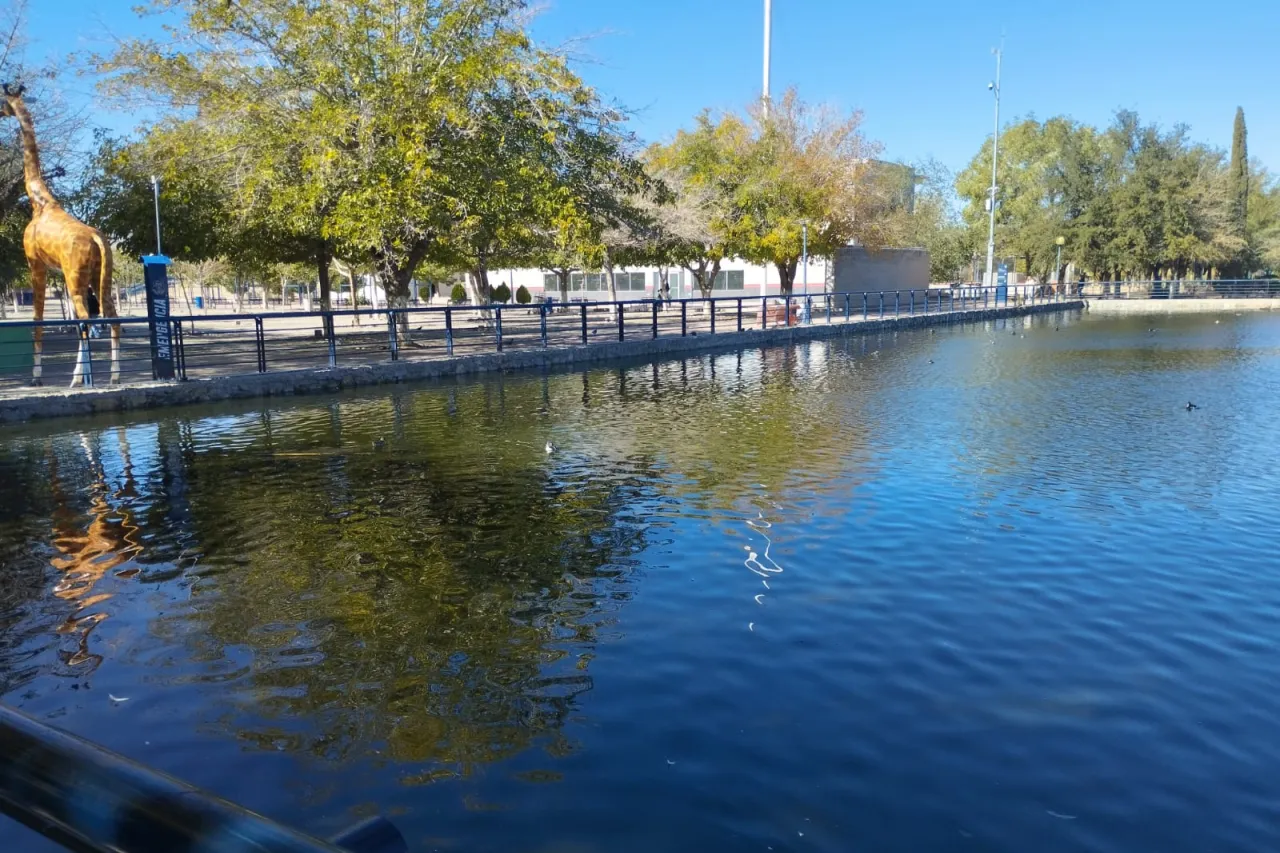 Lleva a cabo Parque Central limpieza profunda del lago