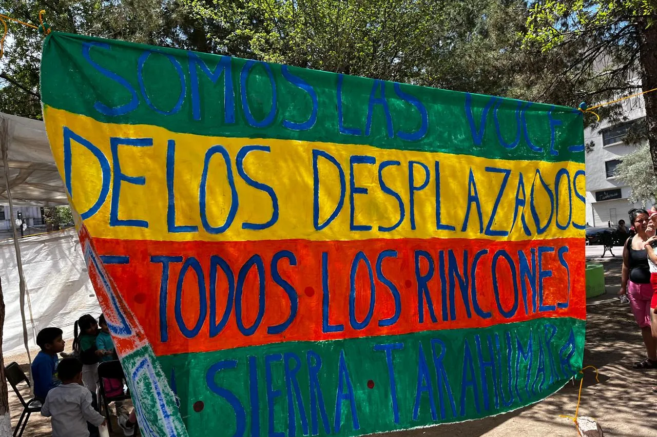 Manuel Escogido
