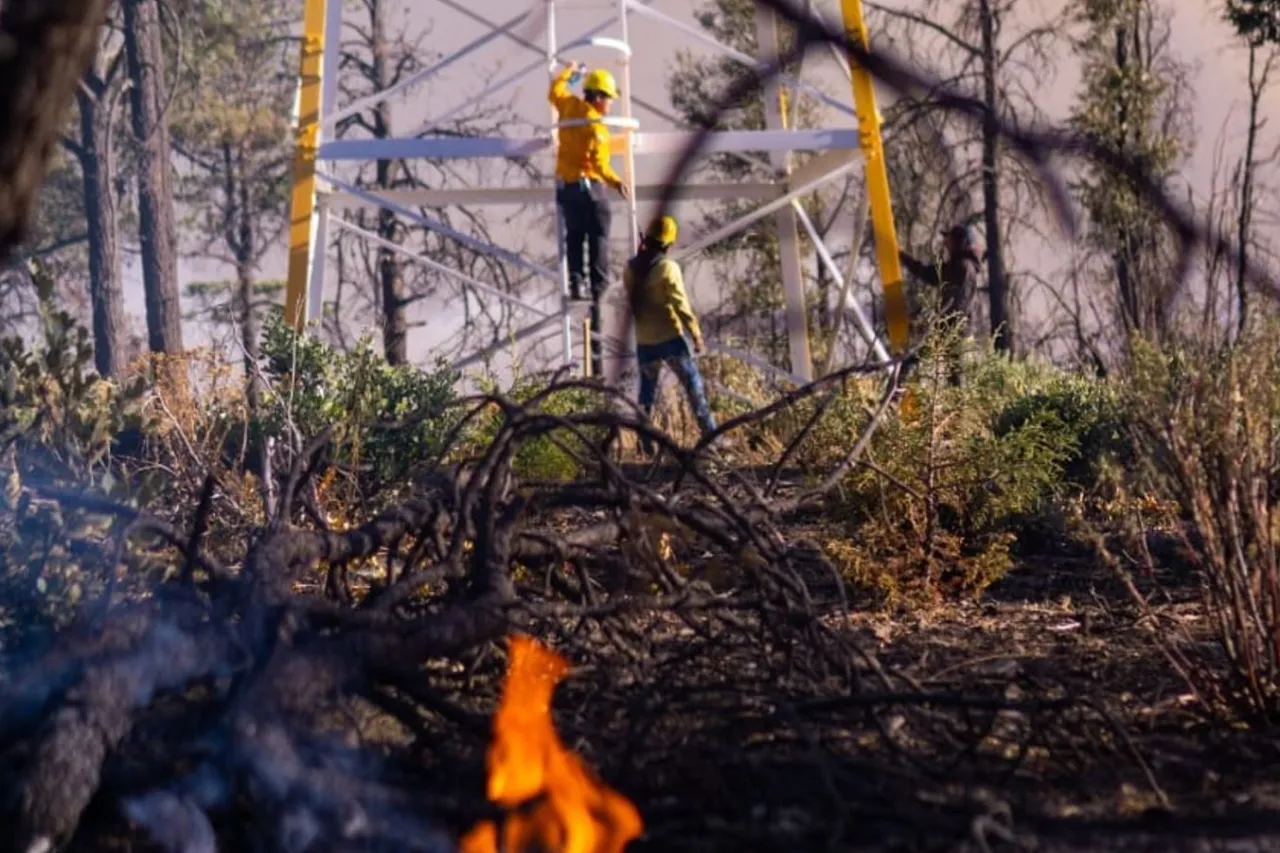 Permanecen activos 12 incendios forestales en el estado