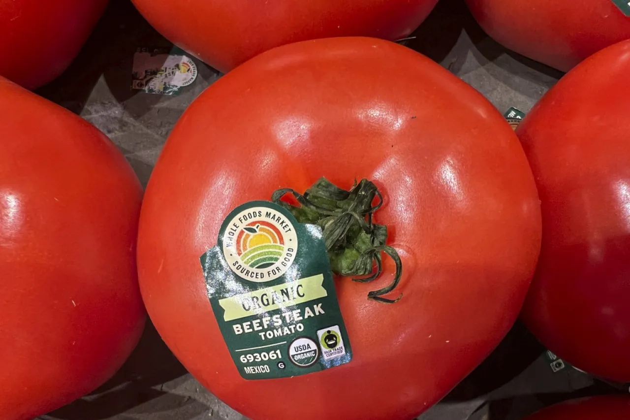 En medio del 5 de Mayo, se avecina un arancel de EU a tomates mexicanos