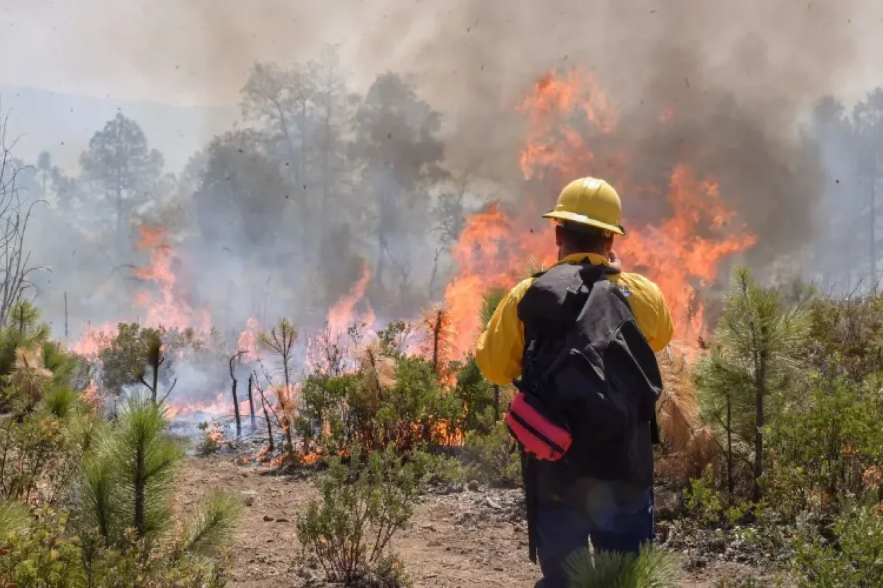 Refuerza Maru Campos acciones contra incendios forestales