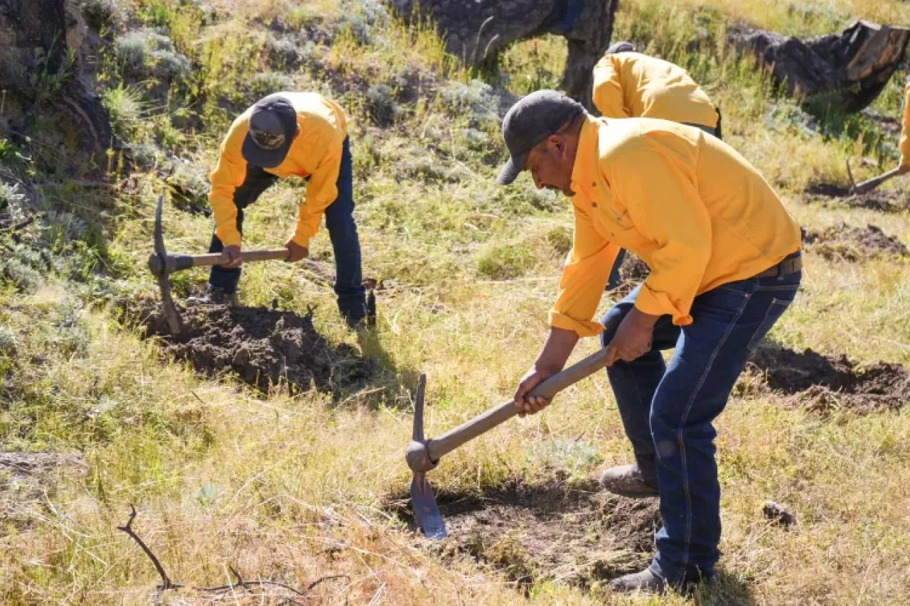 Refuerza Maru Campos acciones contra incendios forestales