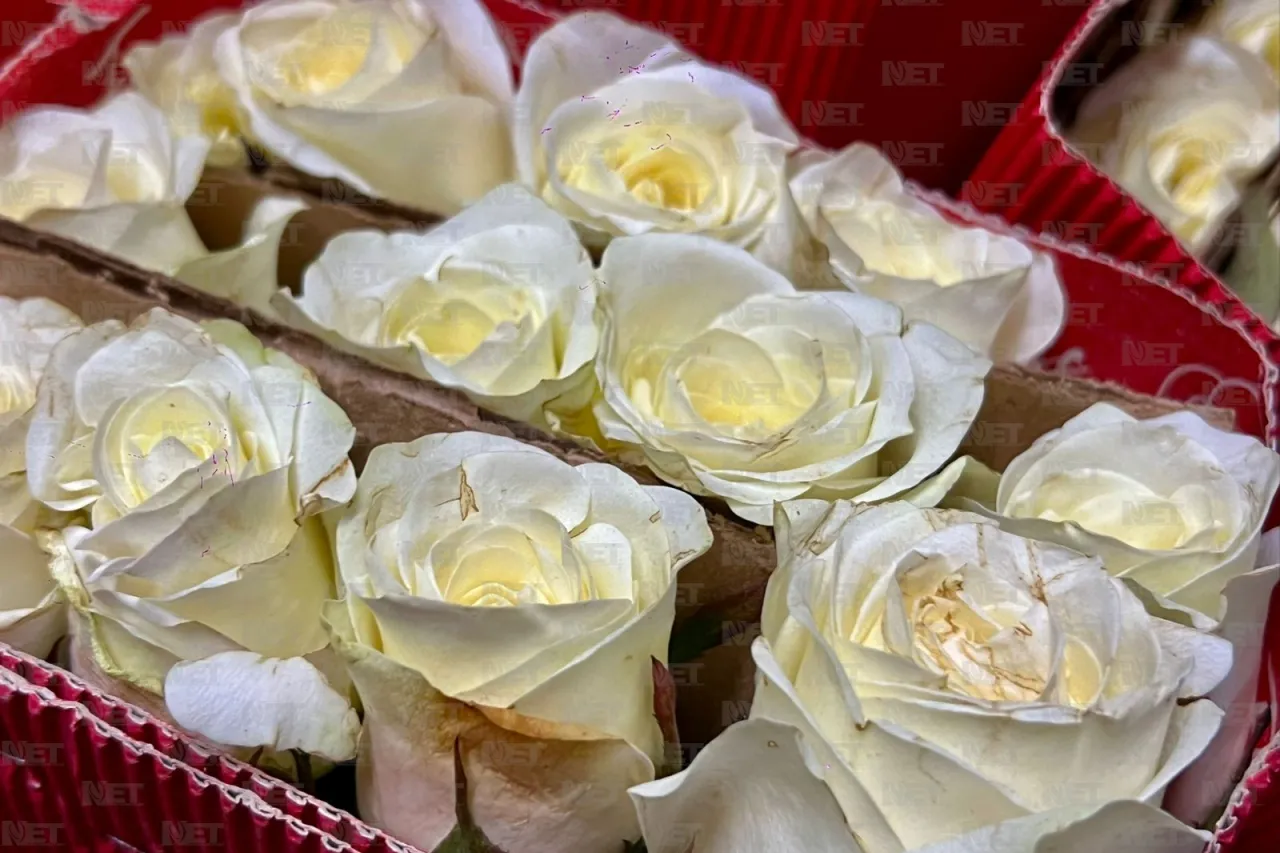 Arriban flores a Juárez para celebrar el Día de las Madres