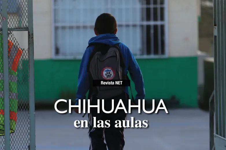 Chihuahua en las aulas: retos y desafíos