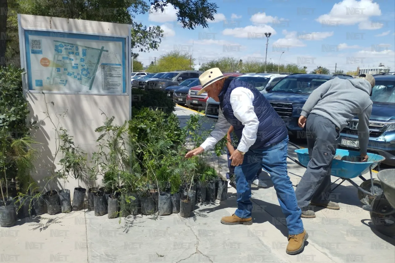 Entrega Sedue donativo de 50 árboles al ICB