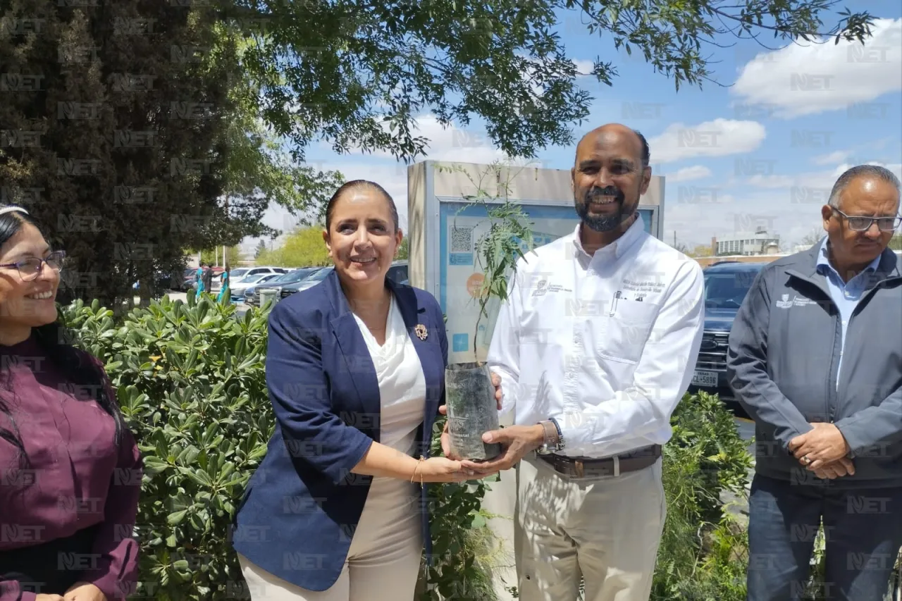 Entrega Sedue donativo de 50 árboles al ICB