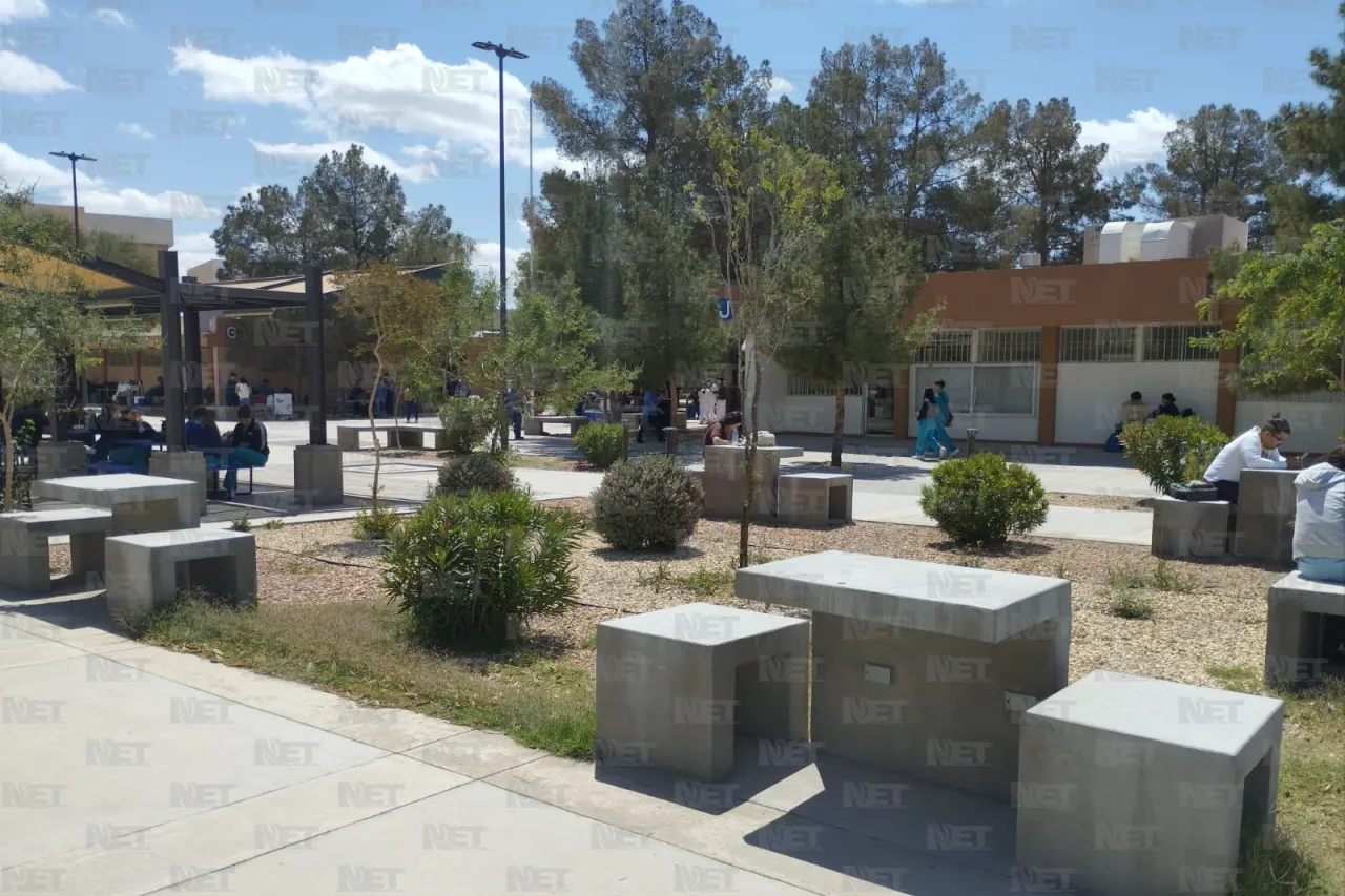 Entrega Sedue donativo de 50 árboles al ICB