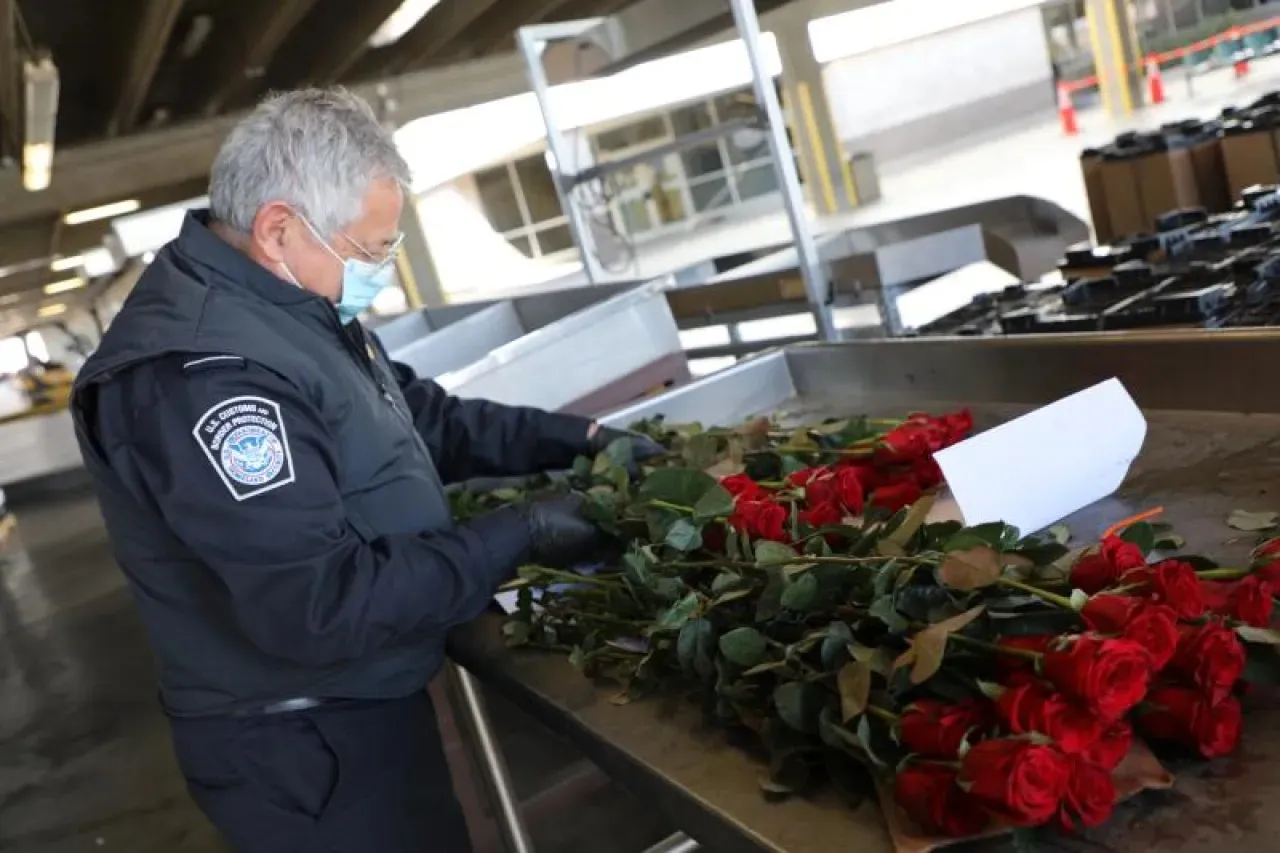 ¿Qué flores se pueden cruzar a El Paso en Día de las Madres? Esto dice CBP