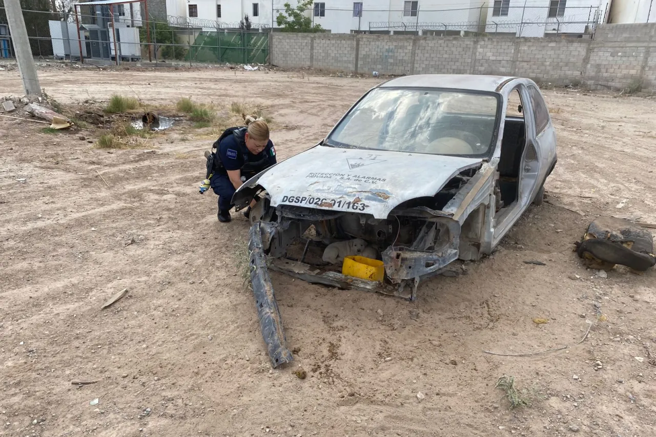 Rescatan a perrita y sus cachorros en lote baldío de la colonia Alameda