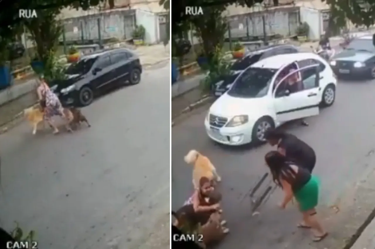 Embarazada protege con su cuerpo a su perro del ataque de 2 pitbulls