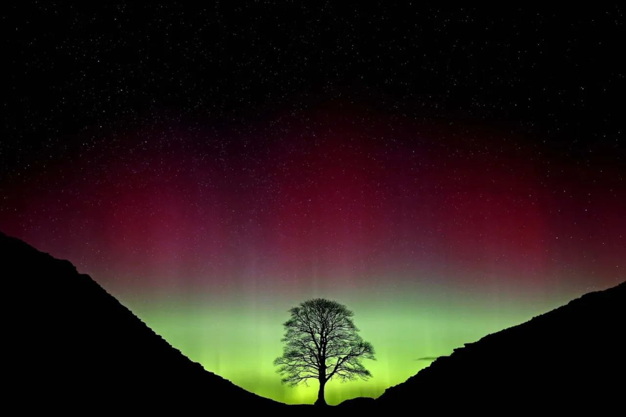 Condenan a 2 hombres por talar el popular árbol de Sycamore Gap