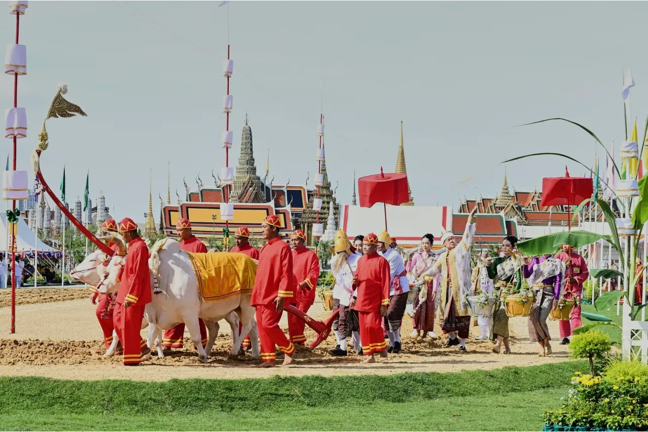 Ritual ancestral en Tailandia predice un buen año para los agricultores