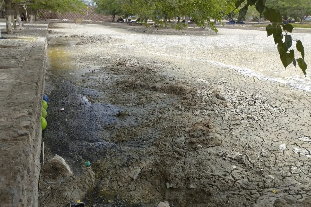Parque Central con avance del 60% en anteproyecto rehabilitación del lago