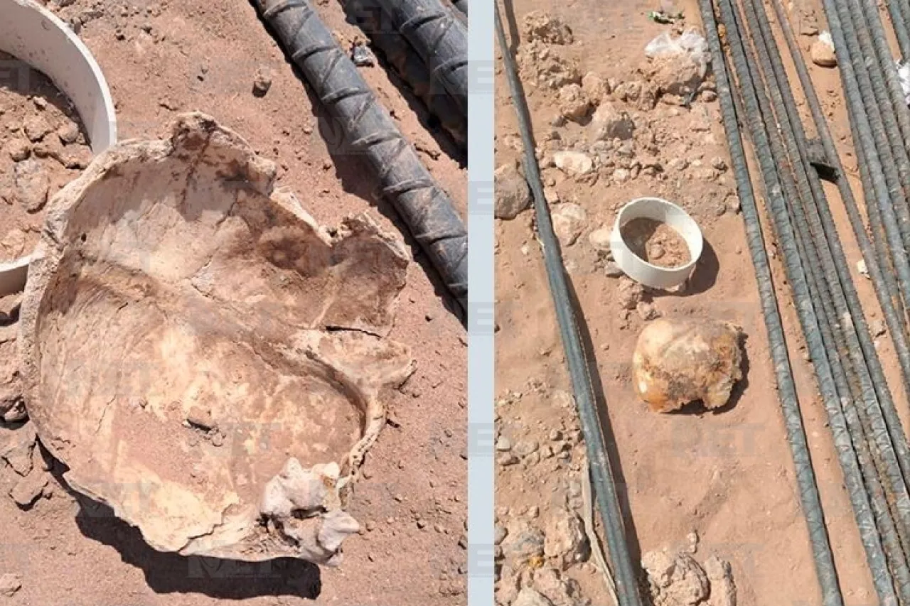 Encuentran restos óseos en construcción