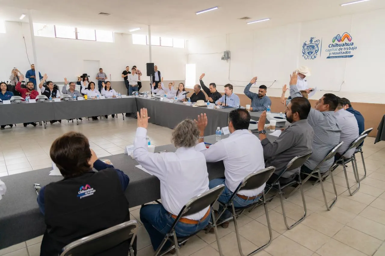 Aprueba Cabildo incremento de sanciones por ganado suelto en la vía pública
