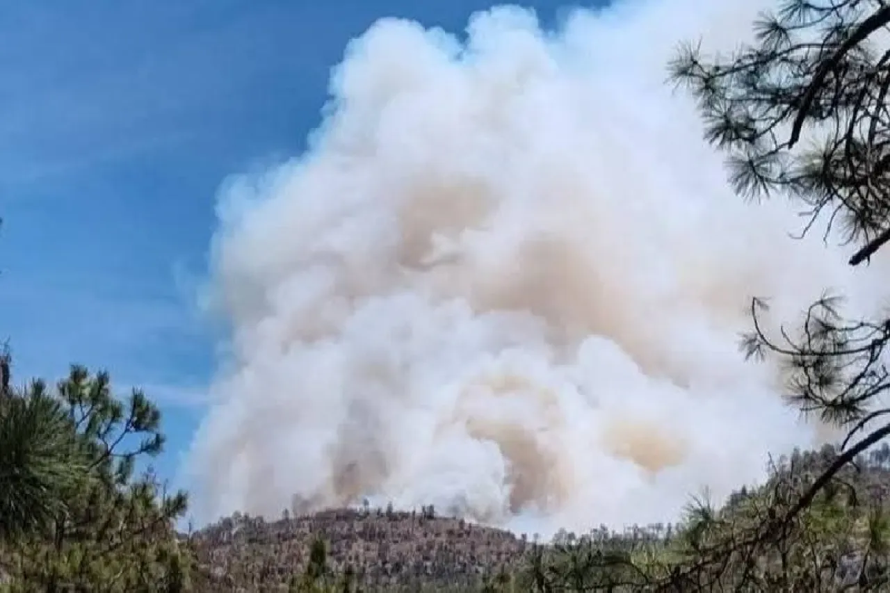 Brigadistas necesitan tu ayuda en combate de incendio en Madera