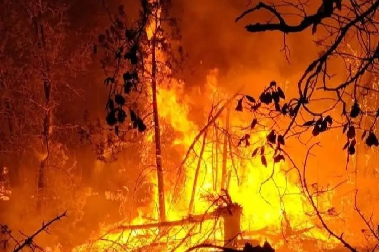 Brigadistas necesitan tu ayuda en combate de incendio en Madera