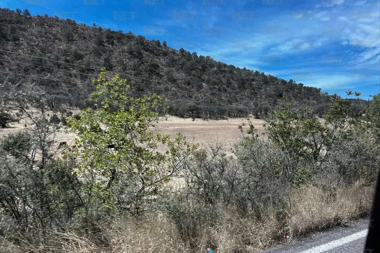 Impera paisaje grisáceo en la Sierra por sequía