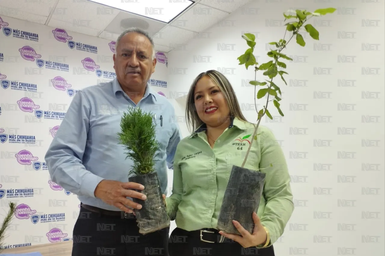 Buscan generar más 'pulmones' en la ciudad