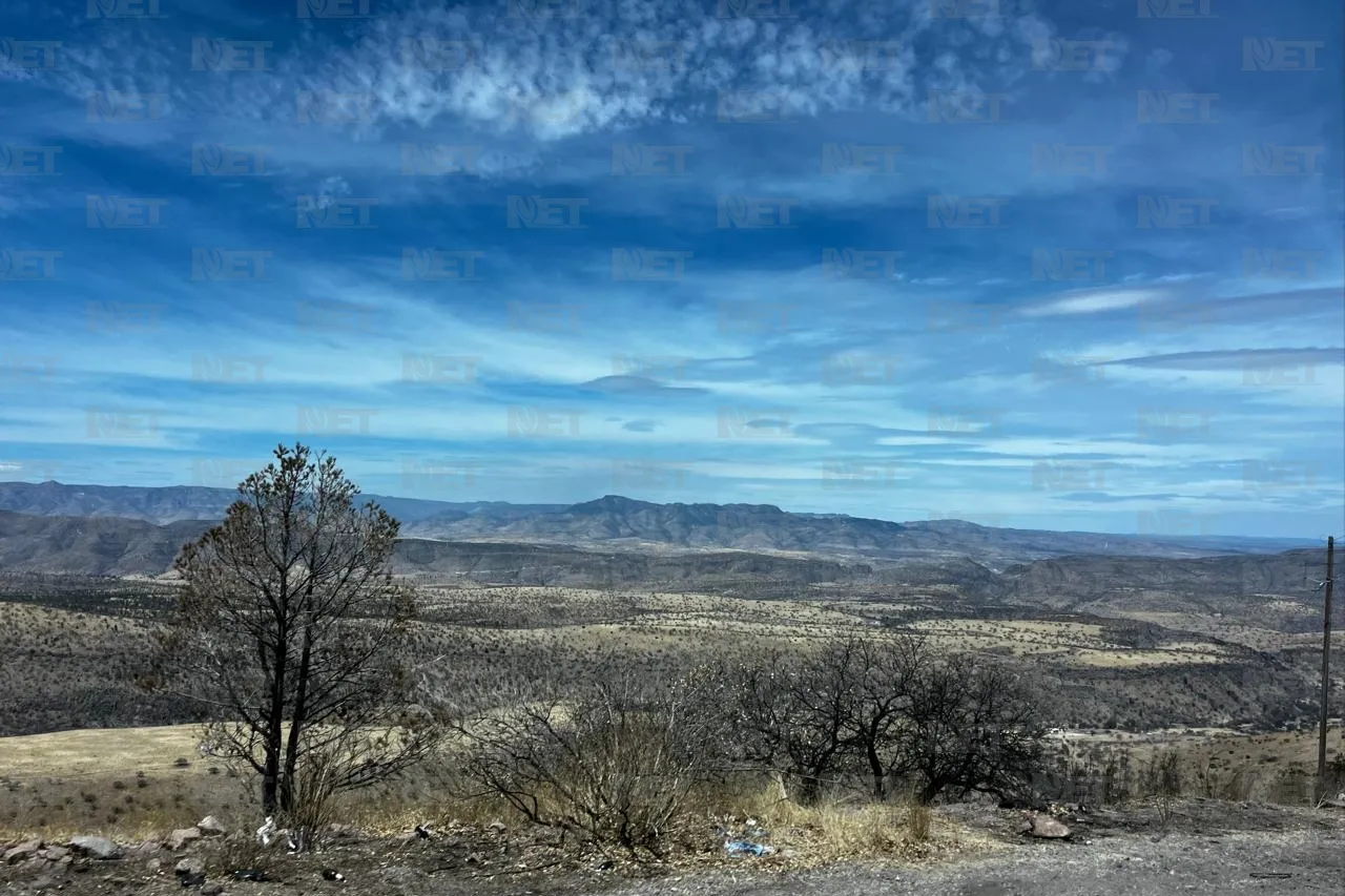 Impera paisaje grisáceo en la Sierra por sequía