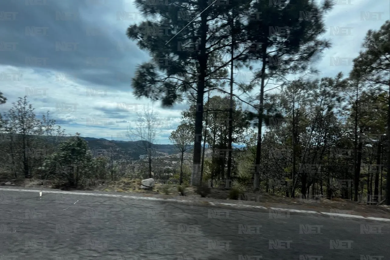 Impera paisaje grisáceo en la Sierra por sequía