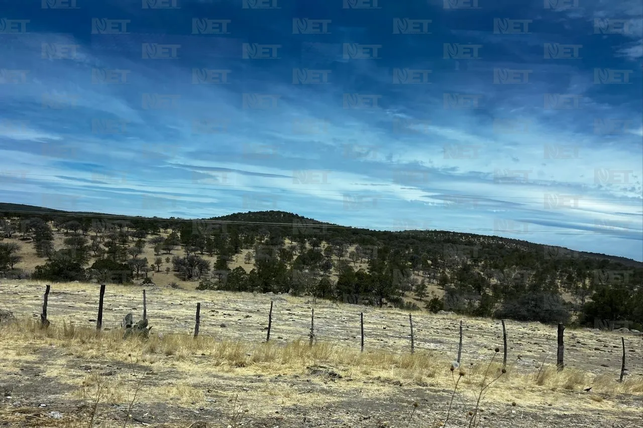 Impera paisaje grisáceo en la Sierra por sequía