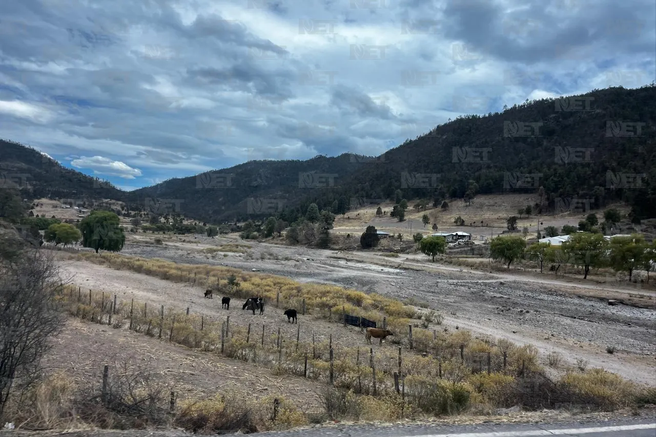 Impera paisaje grisáceo en la Sierra por sequía