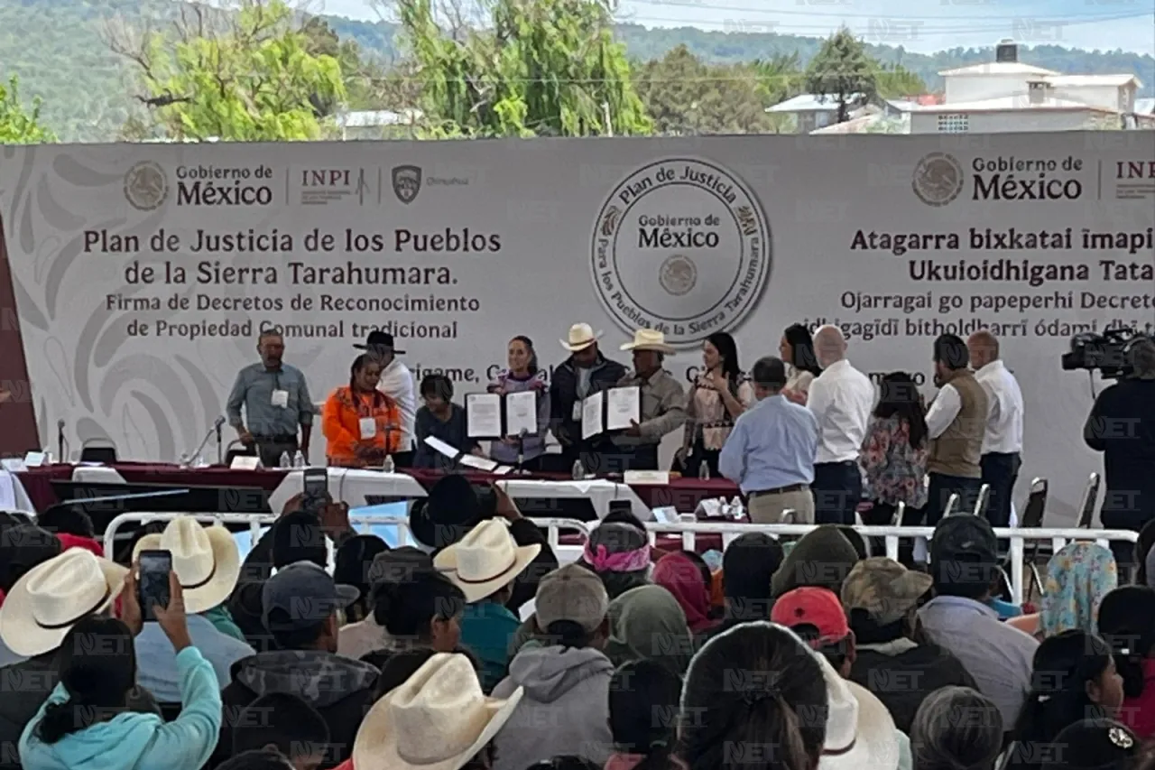 Manuel Escogido