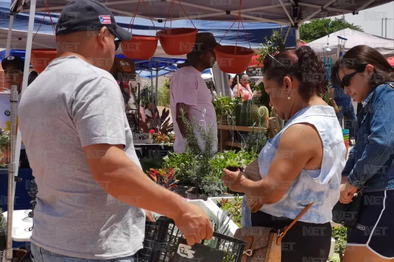 Plantatón 2025 reforestará parque Liras-Los Colorines